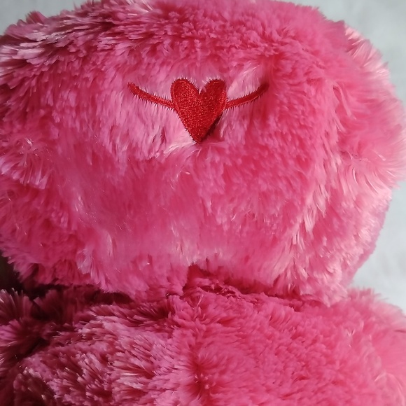 Pink Plush Hippo Stuff Animal that Talks - Picture 5 of 13